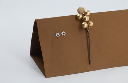 Trendy Star Stud Earrings