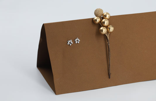 Trendy Star Stud Earrings